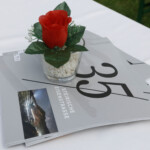 © Siegfried Gallhofer